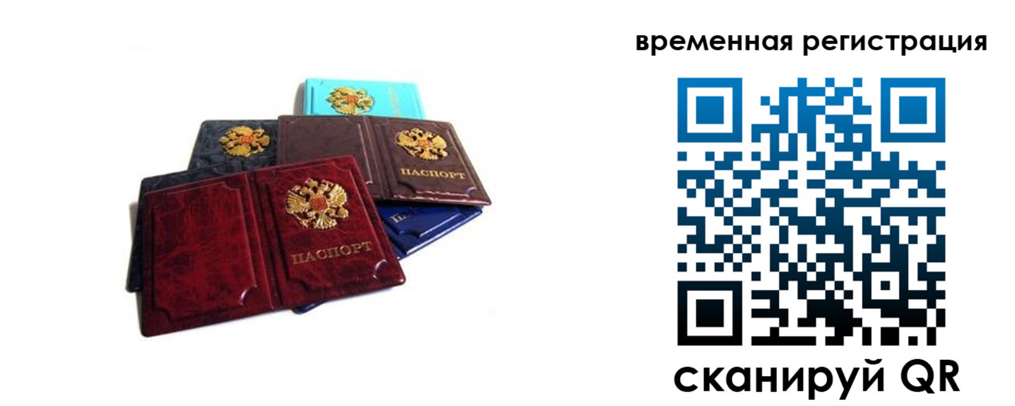 прописка гарантия в Ростовской области